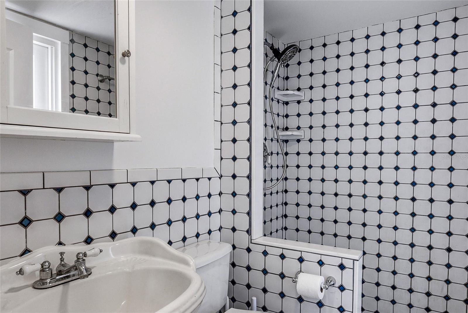 8205 WESTRIDGE DR — photo 33