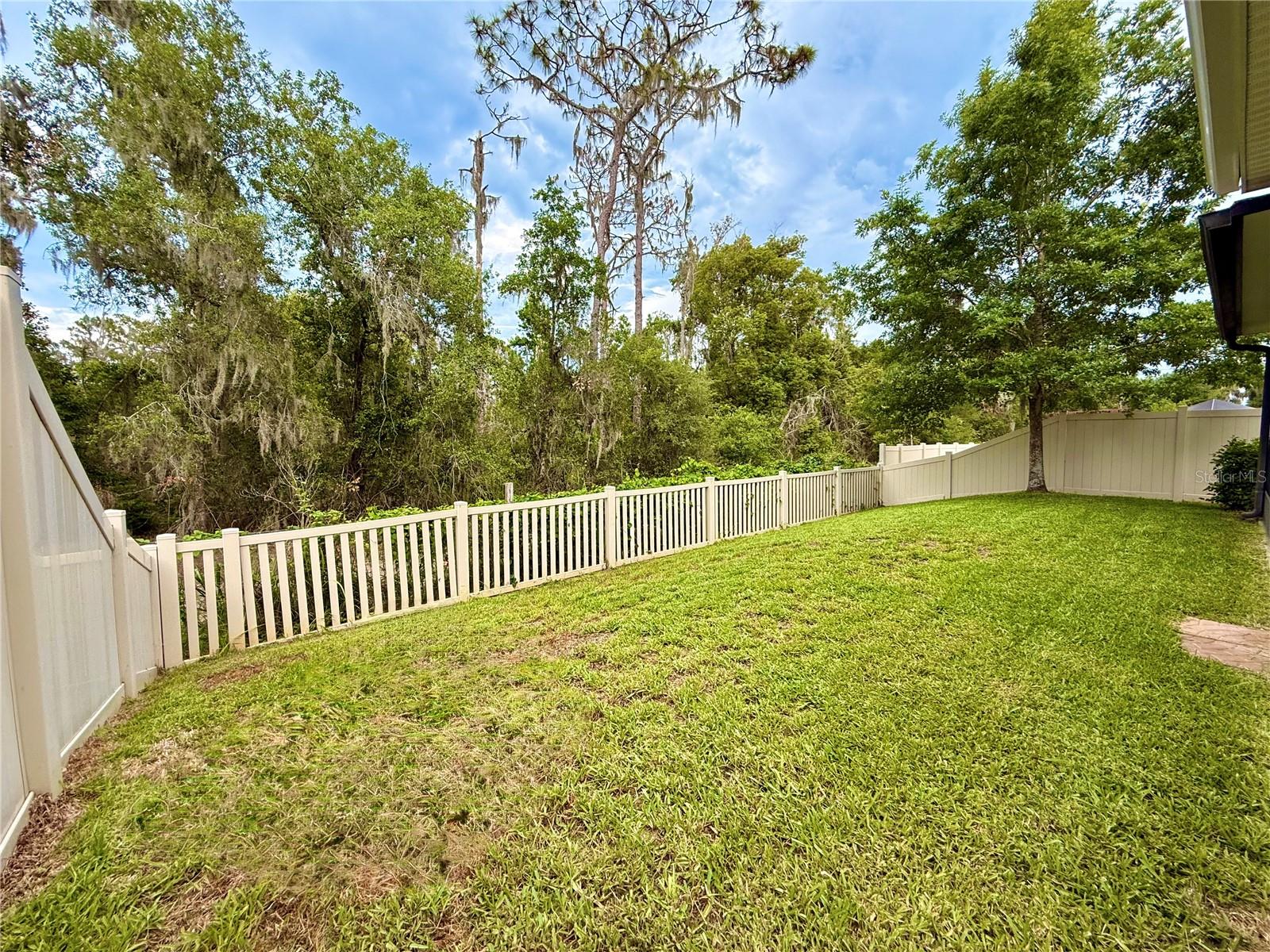14250 BLUE DASHER DR — photo 41