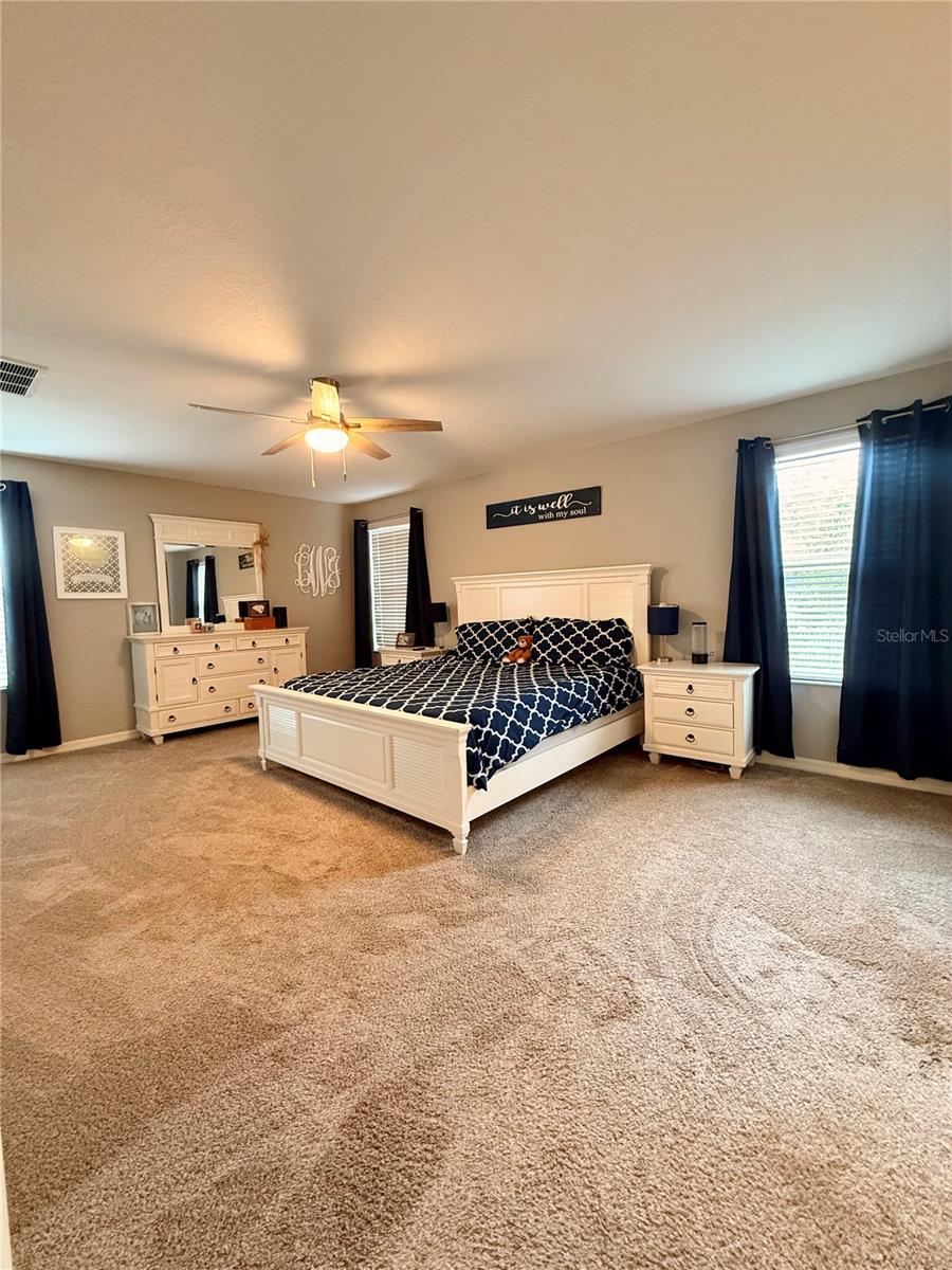 14250 BLUE DASHER DR — photo 21