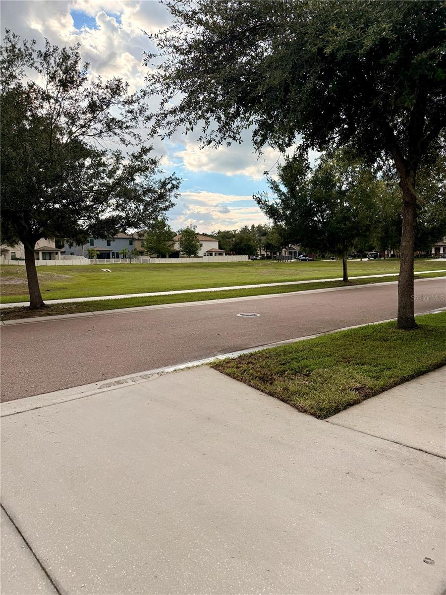 14250 BLUE DASHER DR — photo 43
