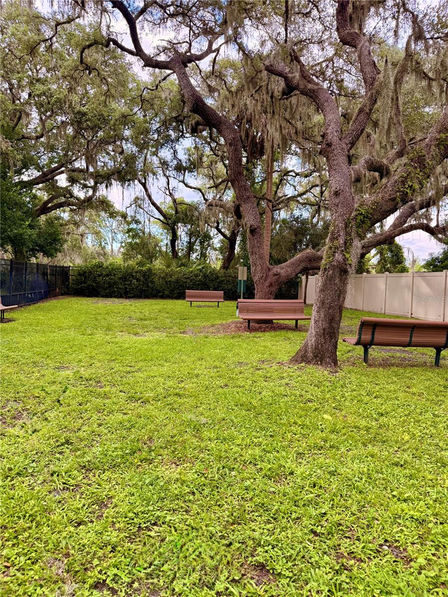 14250 BLUE DASHER DR — photo 45