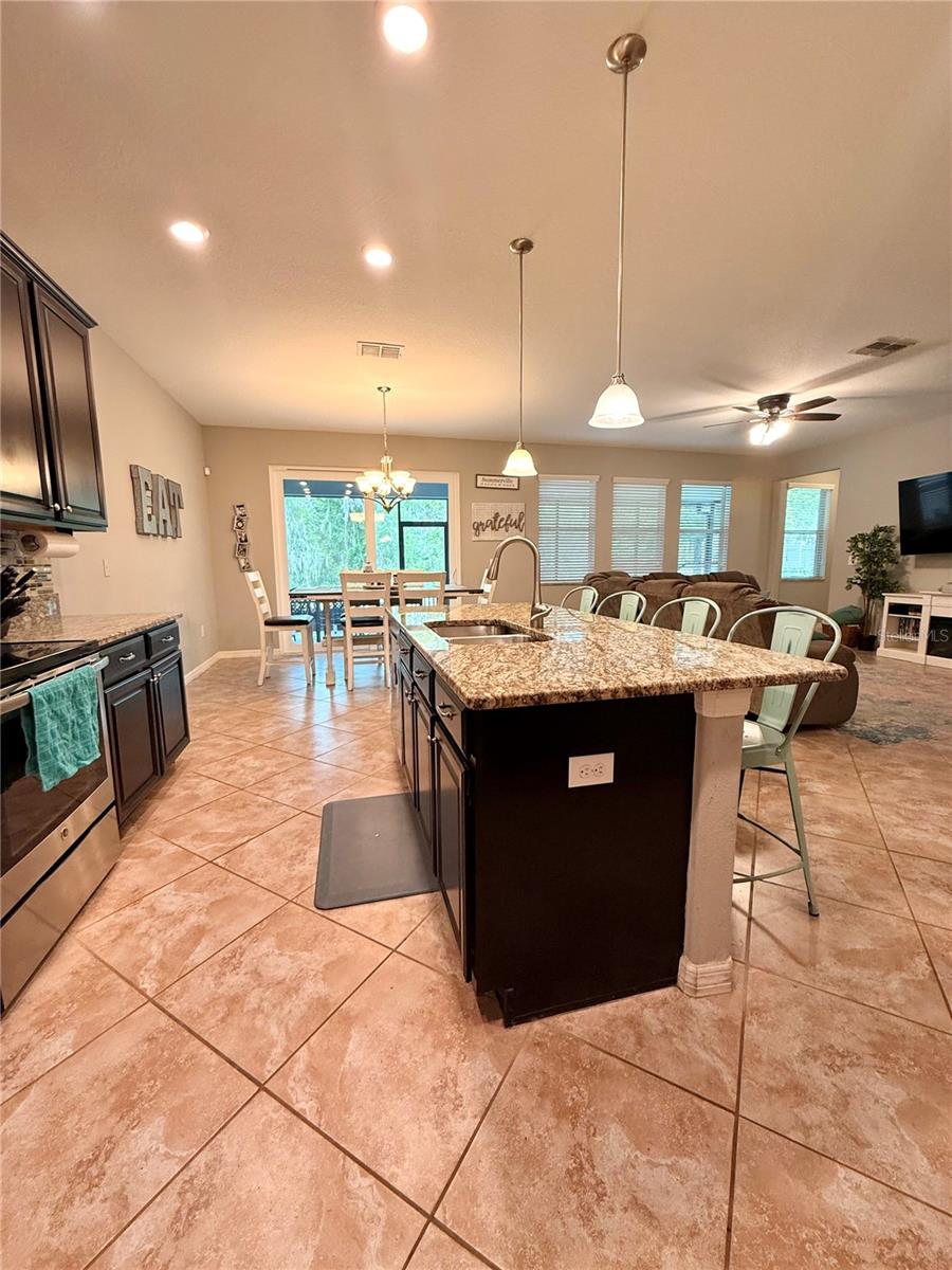 14250 BLUE DASHER DR — photo 10