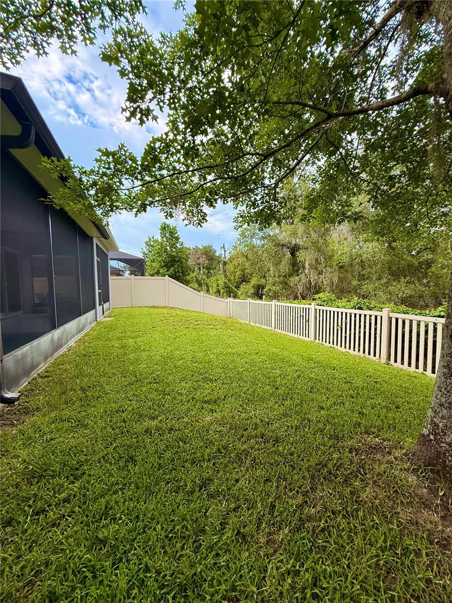 14250 BLUE DASHER DR — photo 40
