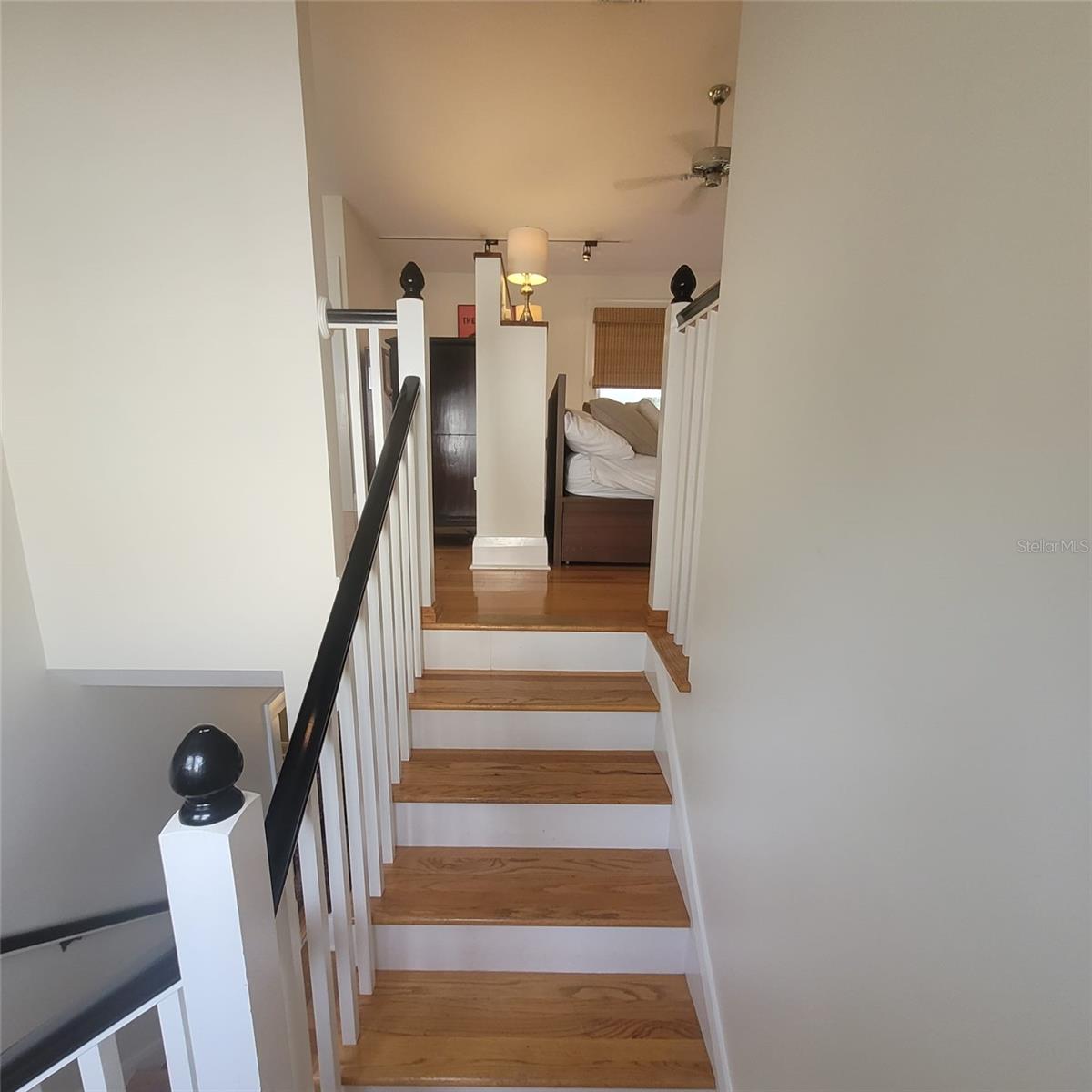 2916 W BAY COURT AVE — photo 17
