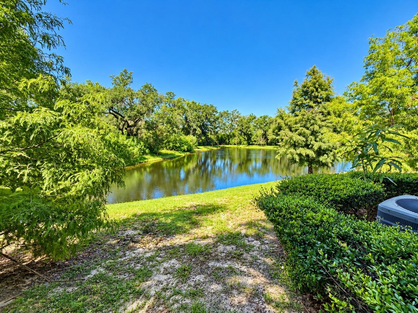 2911 JACOB CROSSING LN — photo 2