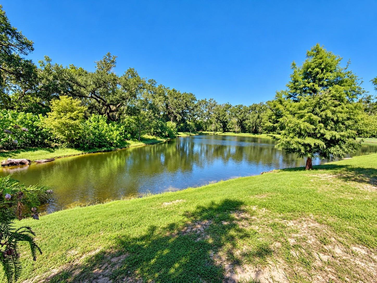 2911 JACOB CROSSING LN — photo 44