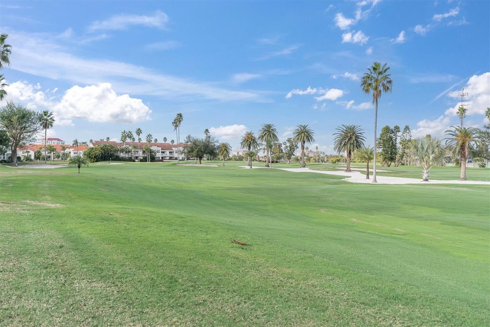 6000 BAHIA DEL MAR CIR #131 — photo 34