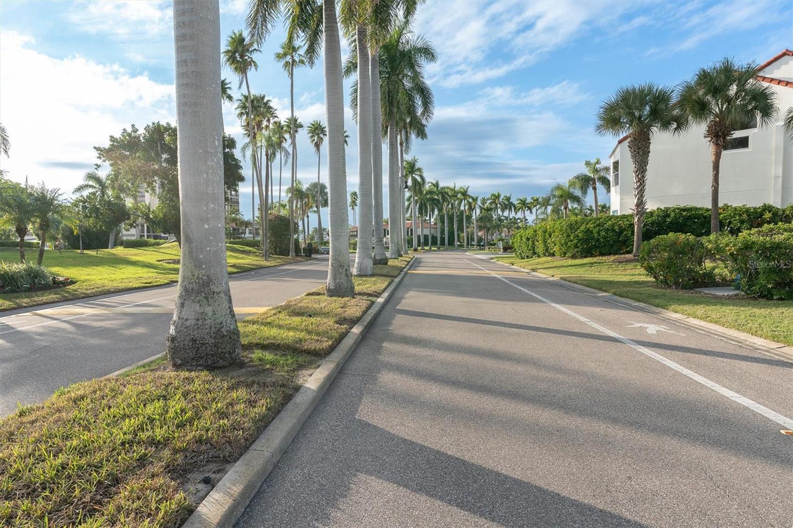 6000 BAHIA DEL MAR CIR #131 — photo 43