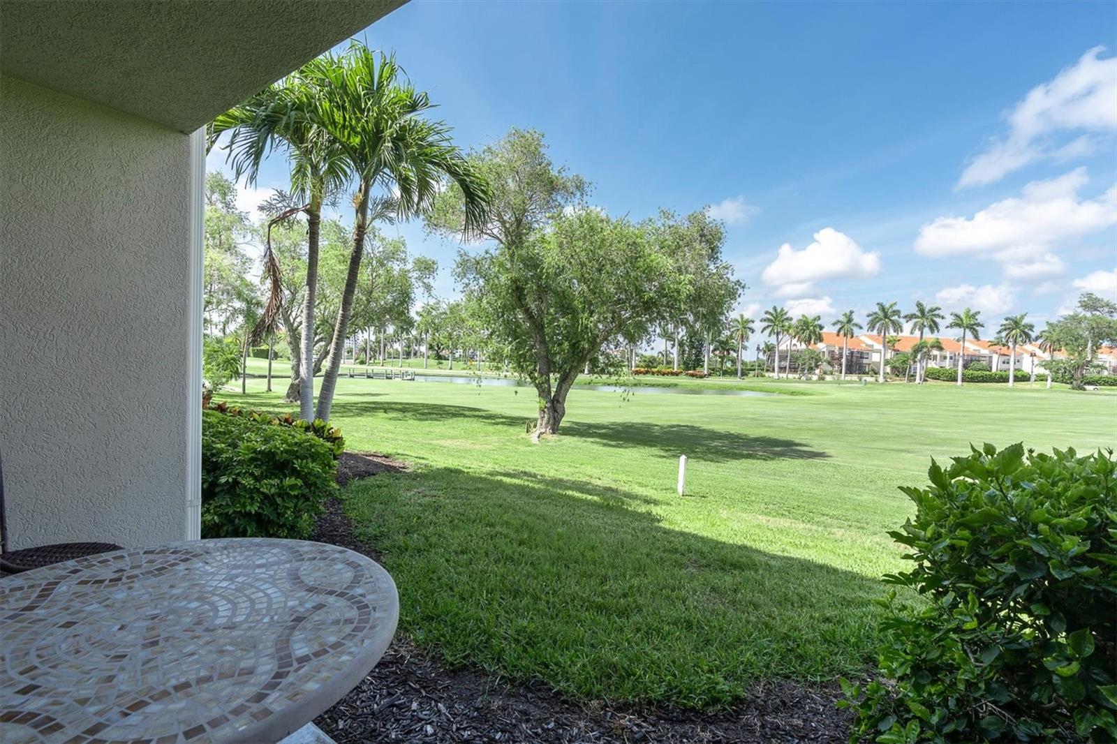 6000 BAHIA DEL MAR CIR #131 — photo 32