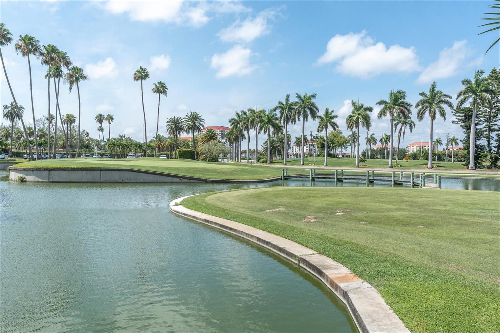 6000 BAHIA DEL MAR CIR #131 — photo 38