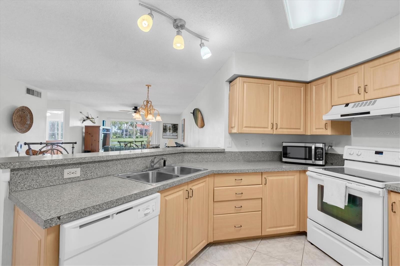6000 BAHIA DEL MAR CIR #131 — photo 16
