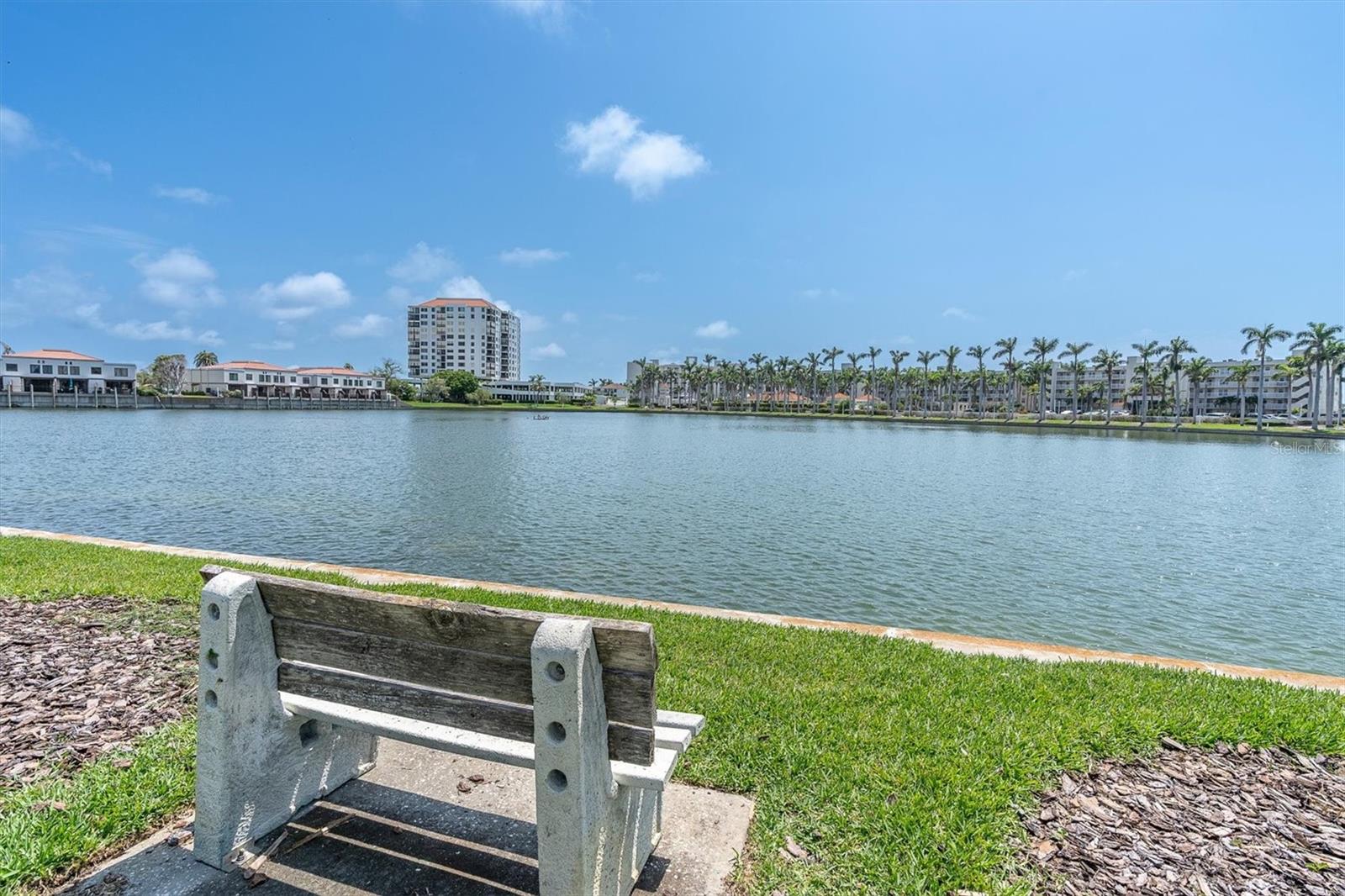 6000 BAHIA DEL MAR CIR #131 — photo 39