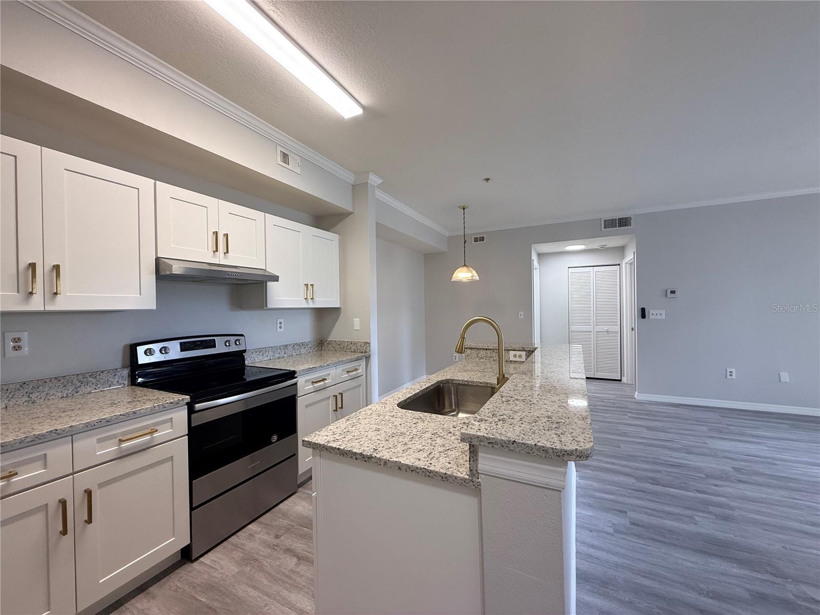 5618 PINNACLE HEIGHTS CIR #305 — photo 4