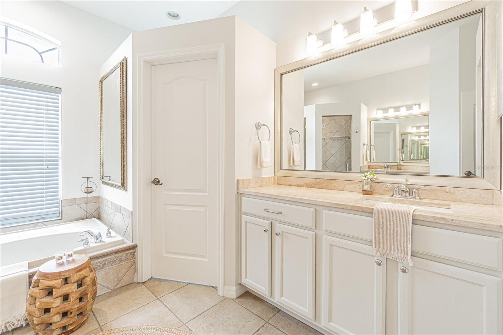 26731 WINGED ELM DR — photo 19