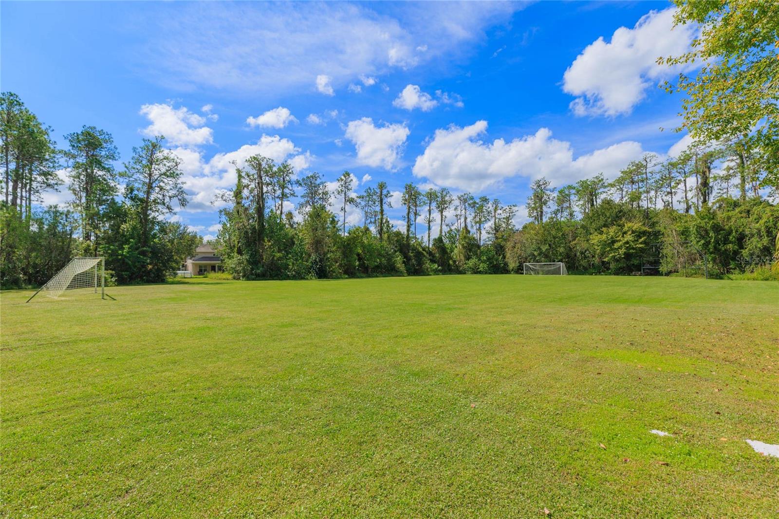 26731 WINGED ELM DR — photo 68