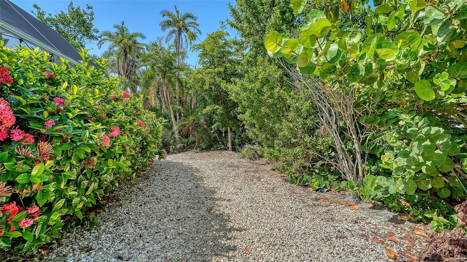602 BUTTONWOOD DR — photo 50