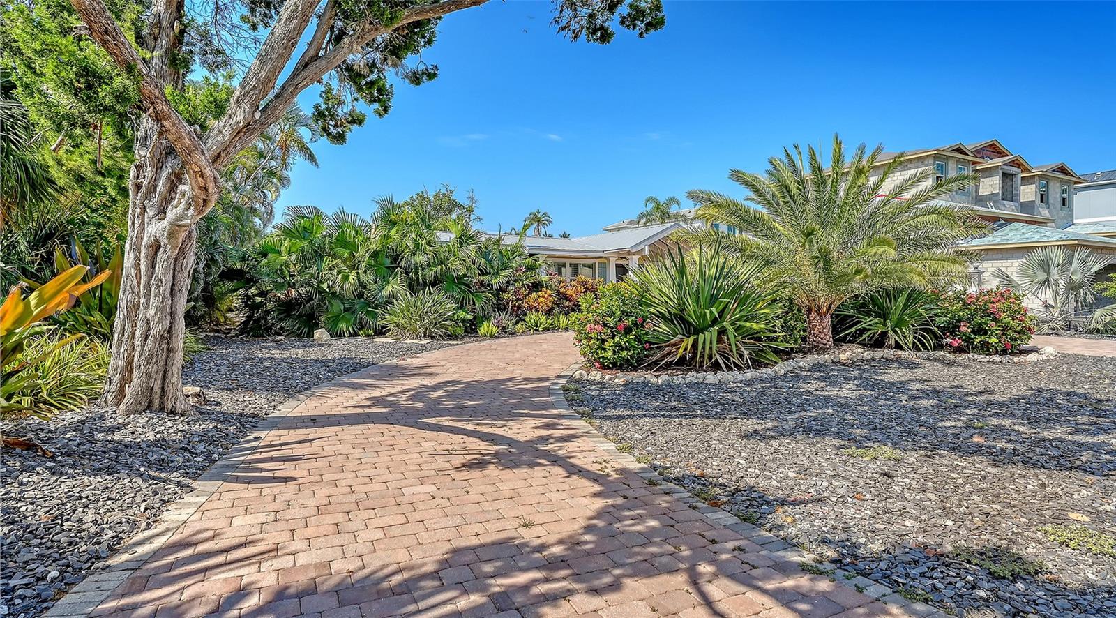 602 BUTTONWOOD DR — photo 6