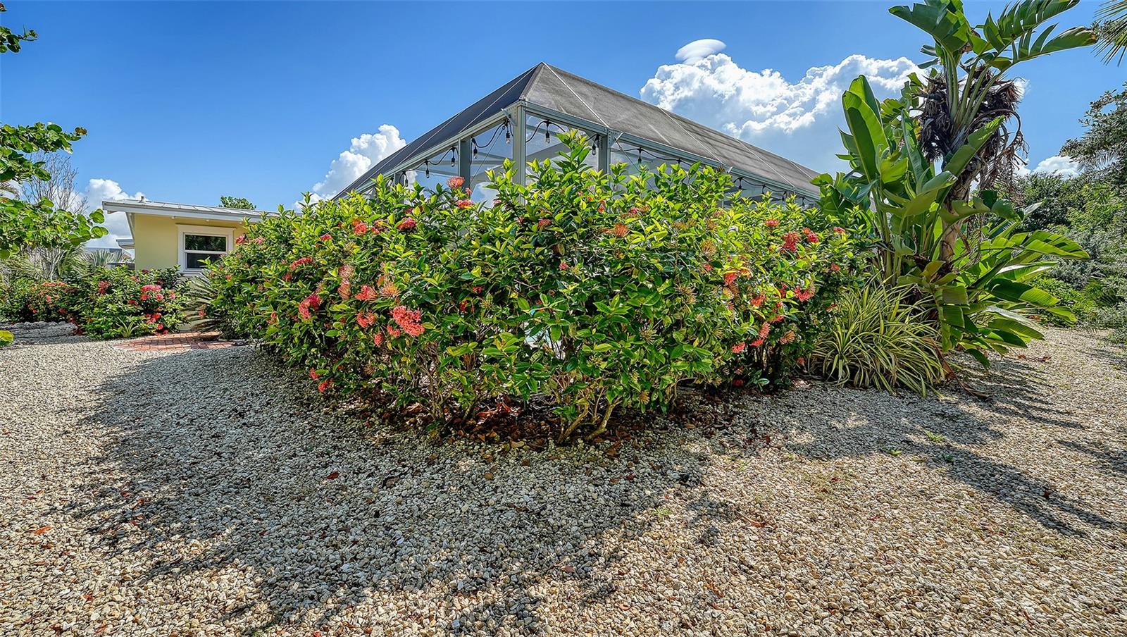 602 BUTTONWOOD DR — photo 52