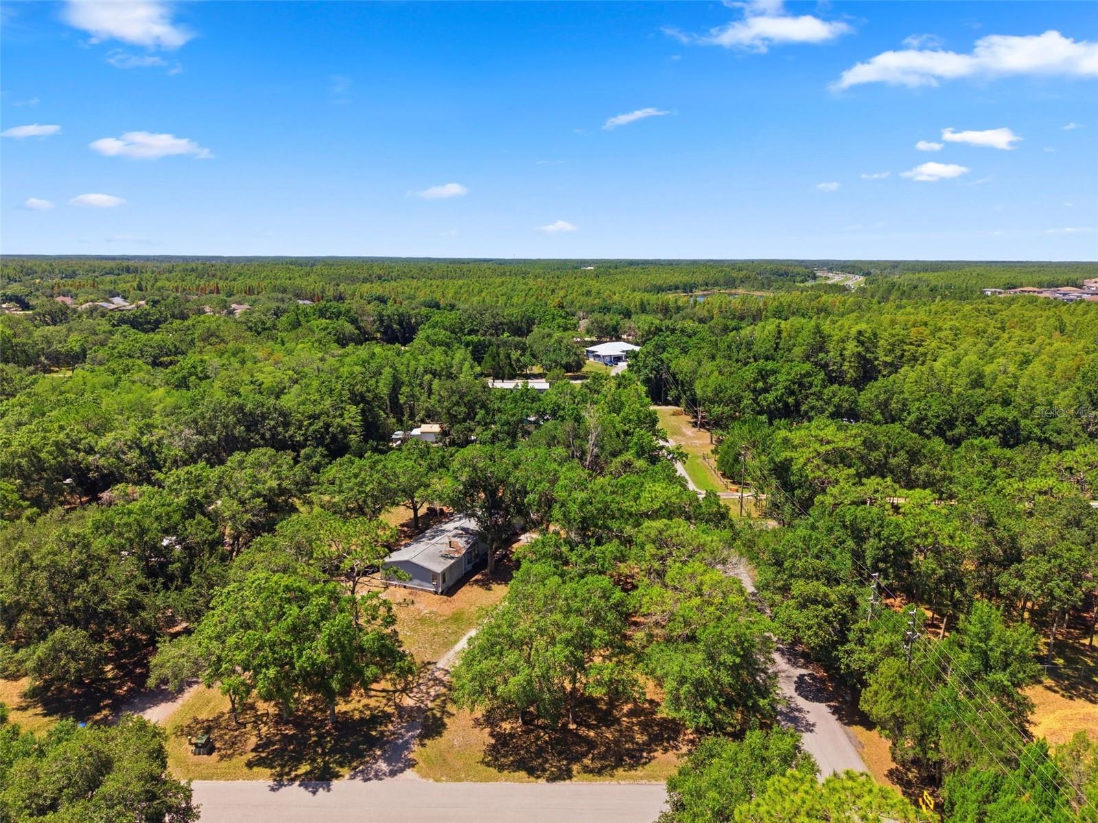 17214 CHINABERRY RD — photo 6
