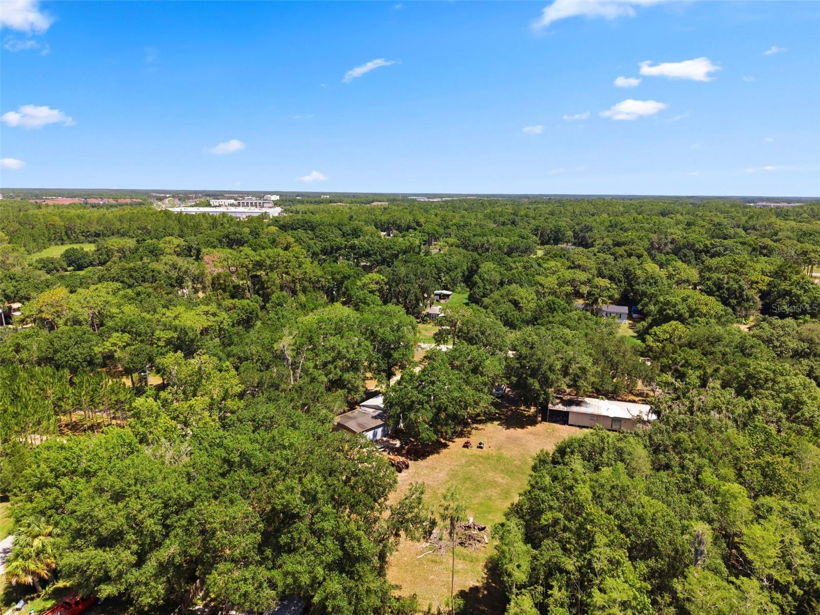 17214 CHINABERRY RD — photo 7