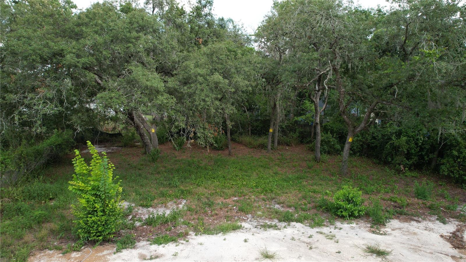11406 POLO ST — photo 4
