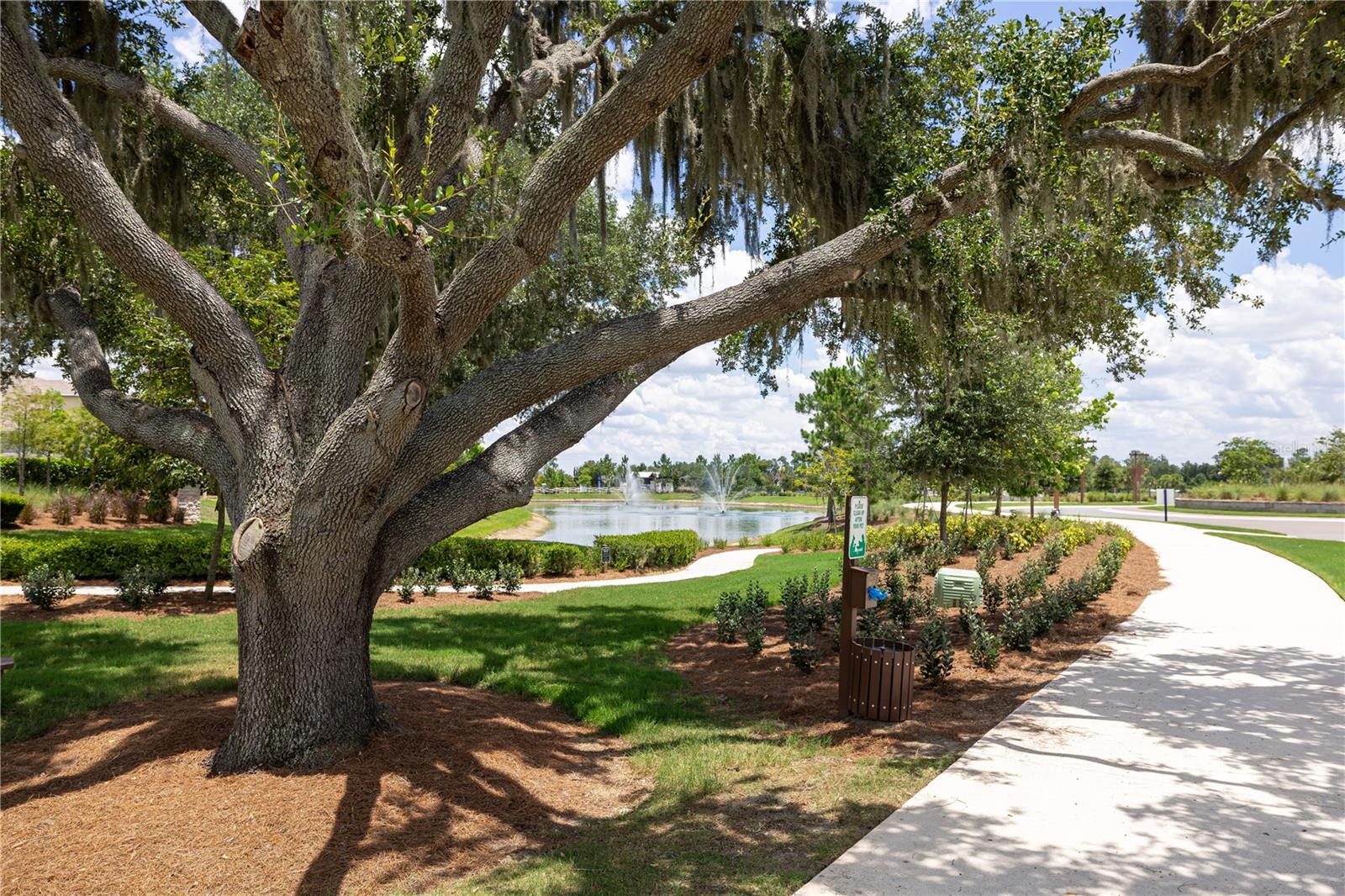 3413 IVY HOLLOW DR — photo 56