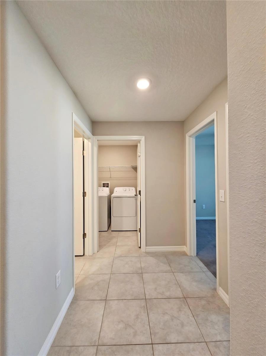 165 RAIN BERRY AVE — photo 26