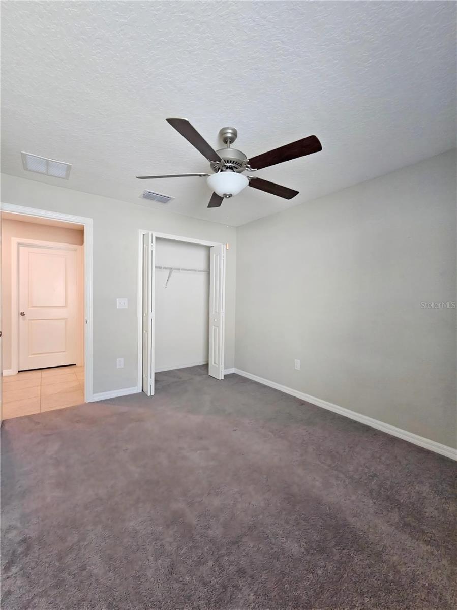 165 RAIN BERRY AVE — photo 32