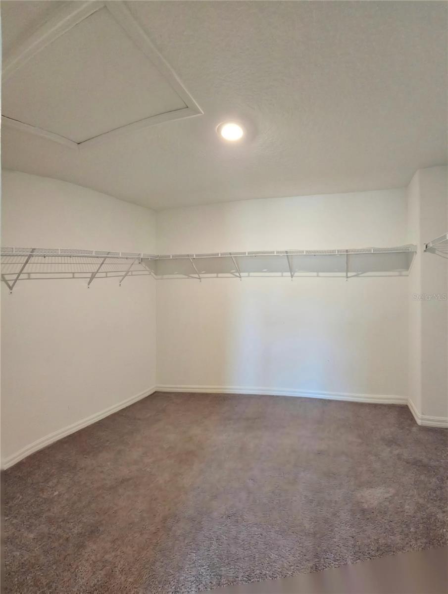 165 RAIN BERRY AVE — photo 20