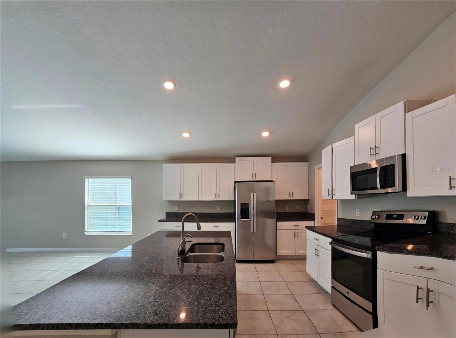 165 RAIN BERRY AVE — photo 10