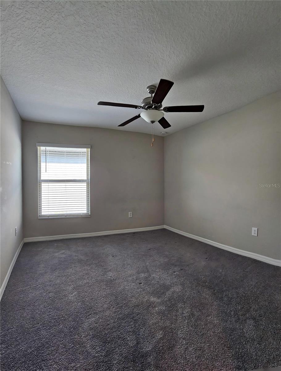 165 RAIN BERRY AVE — photo 33