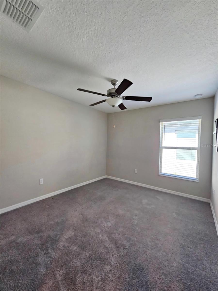 165 RAIN BERRY AVE — photo 31