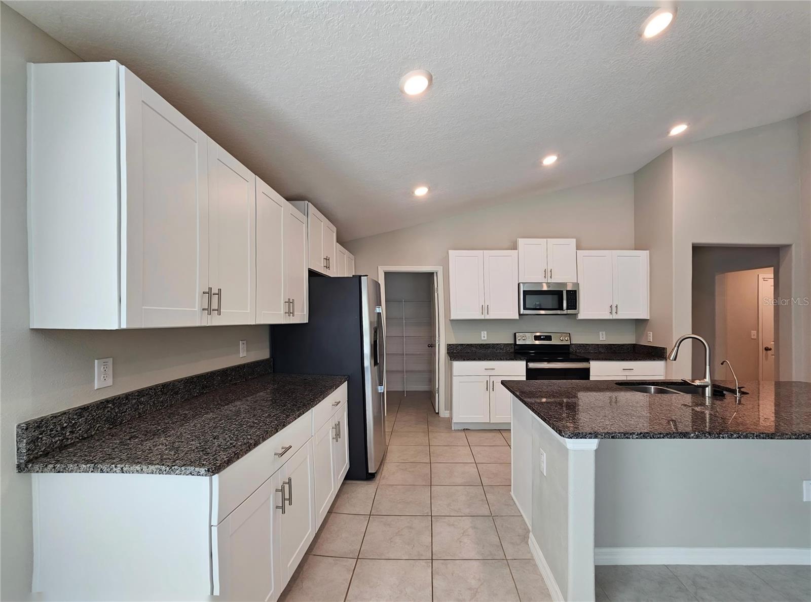 165 RAIN BERRY AVE — photo 12