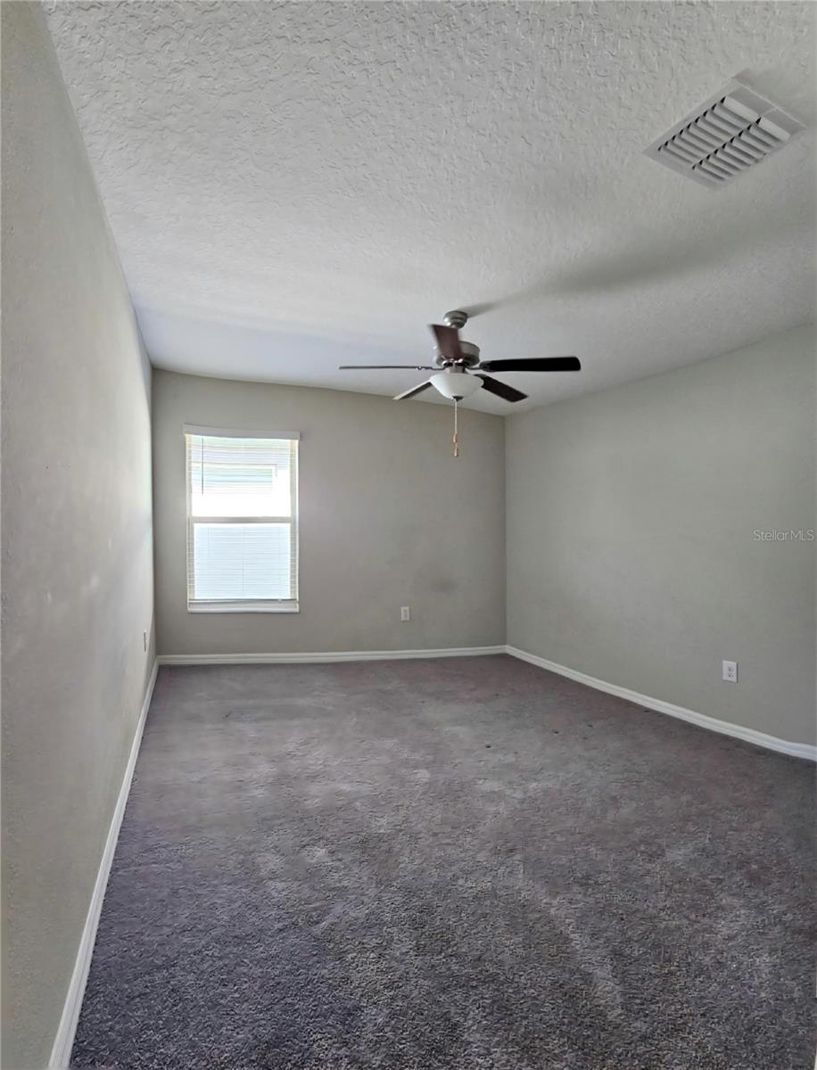 165 RAIN BERRY AVE — photo 24