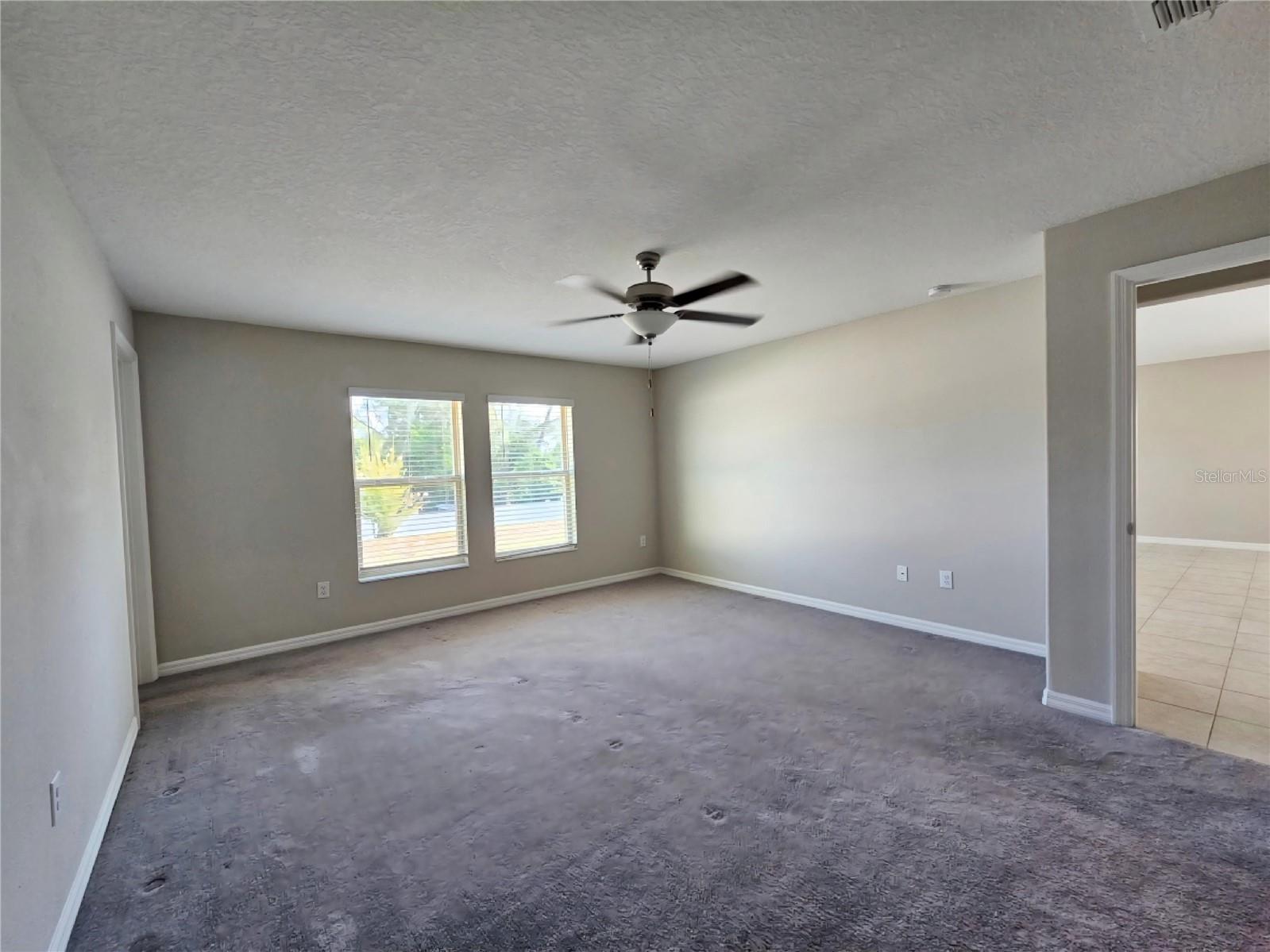 165 RAIN BERRY AVE — photo 19