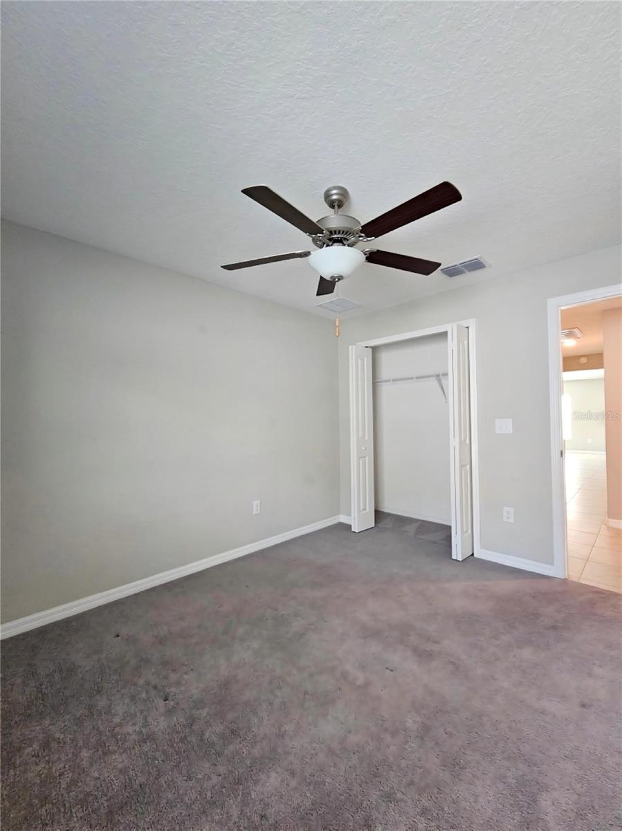 165 RAIN BERRY AVE — photo 34