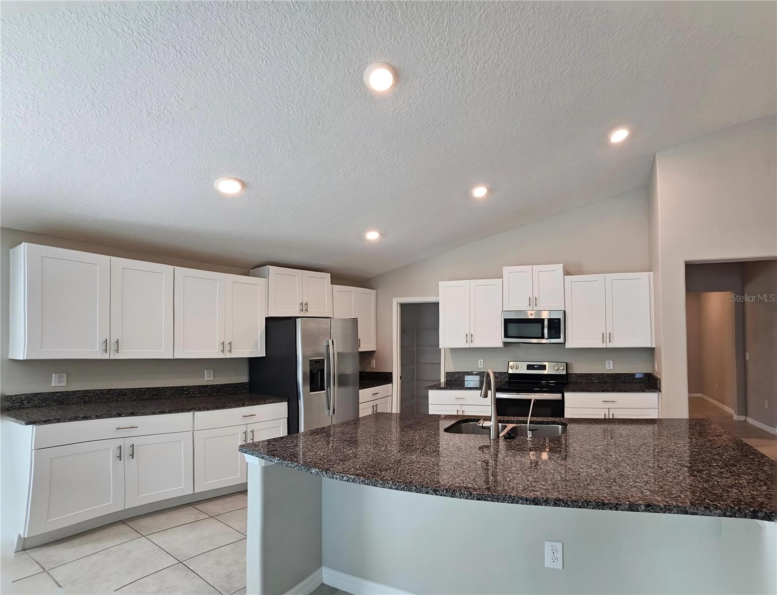 165 RAIN BERRY AVE — photo 11