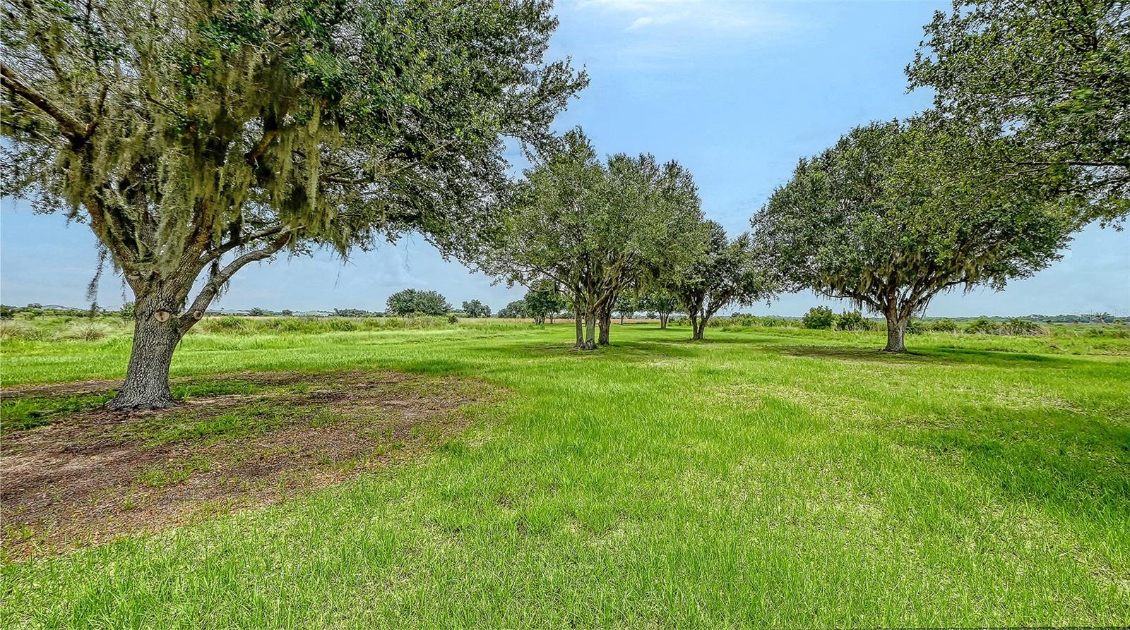 3503 RECURVE CIR — photo 47