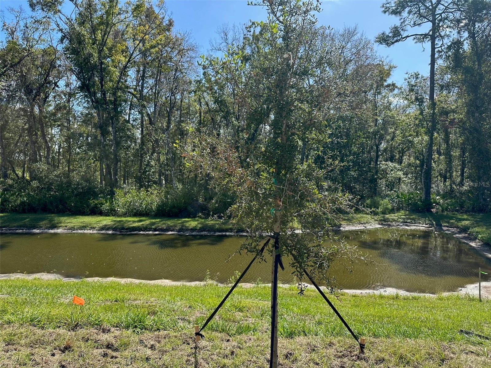 17616 NECTAR FLUME DR — photo 25
