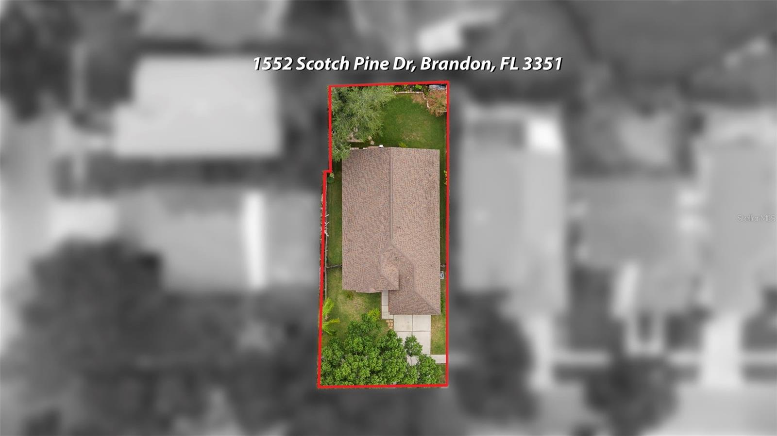 1552 SCOTCH PINE DR — photo 56