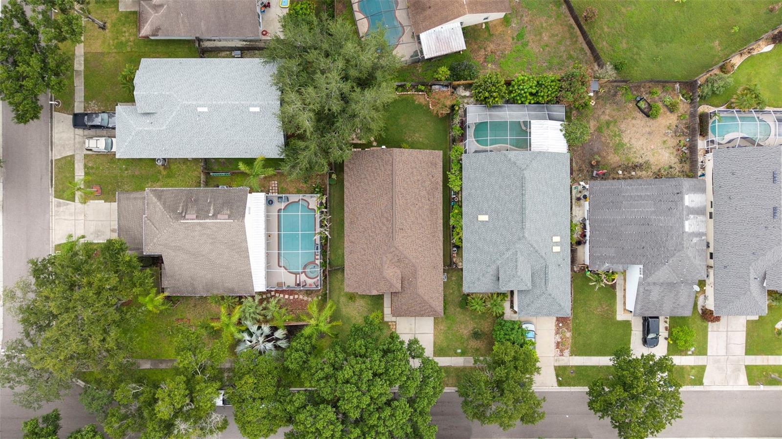 1552 SCOTCH PINE DR — photo 57