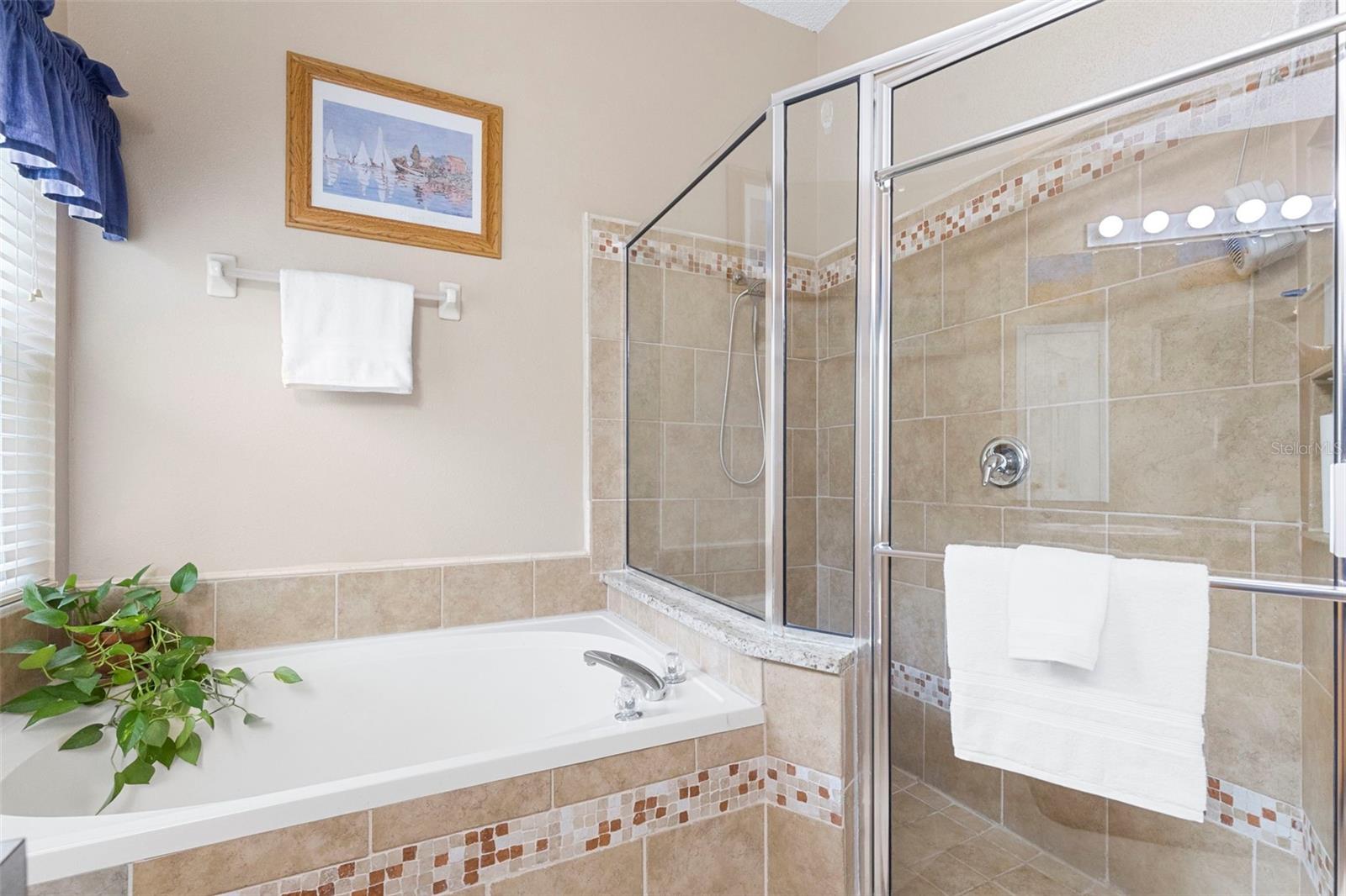 1552 SCOTCH PINE DR — photo 34