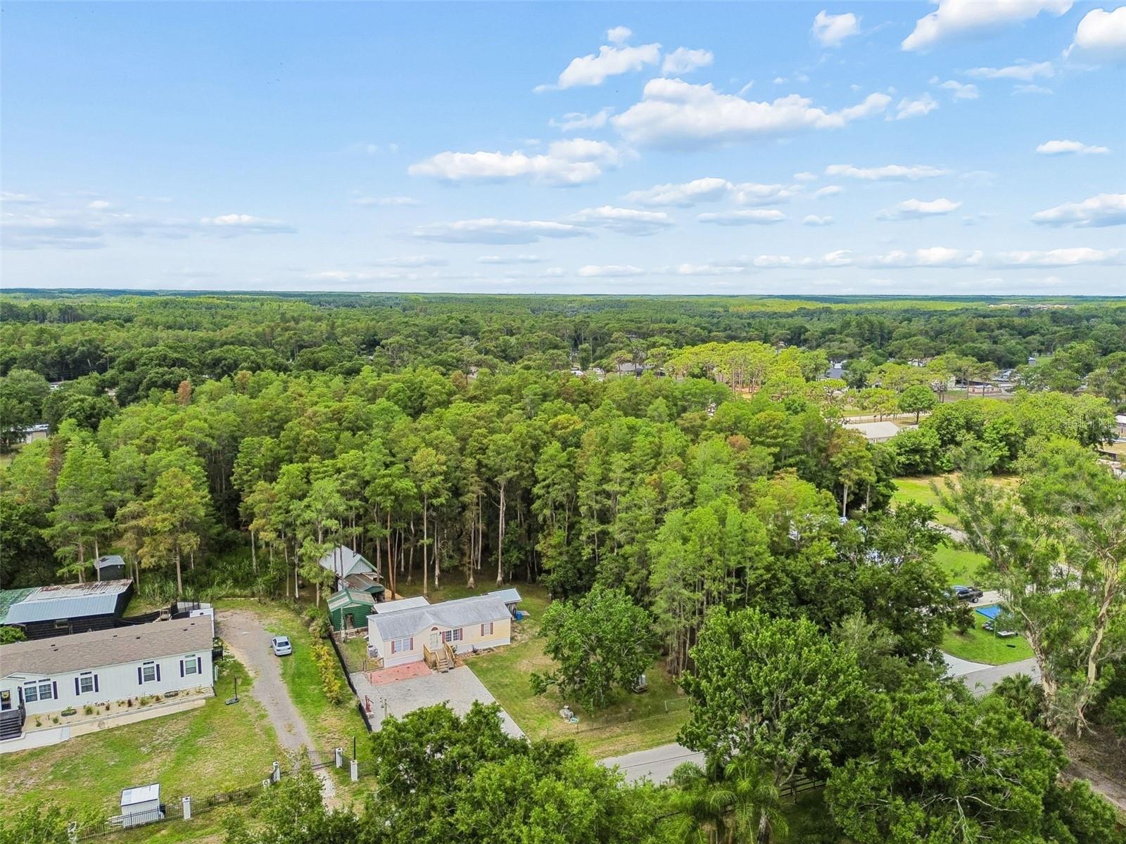 17808 DOGWOOD DR — photo 49