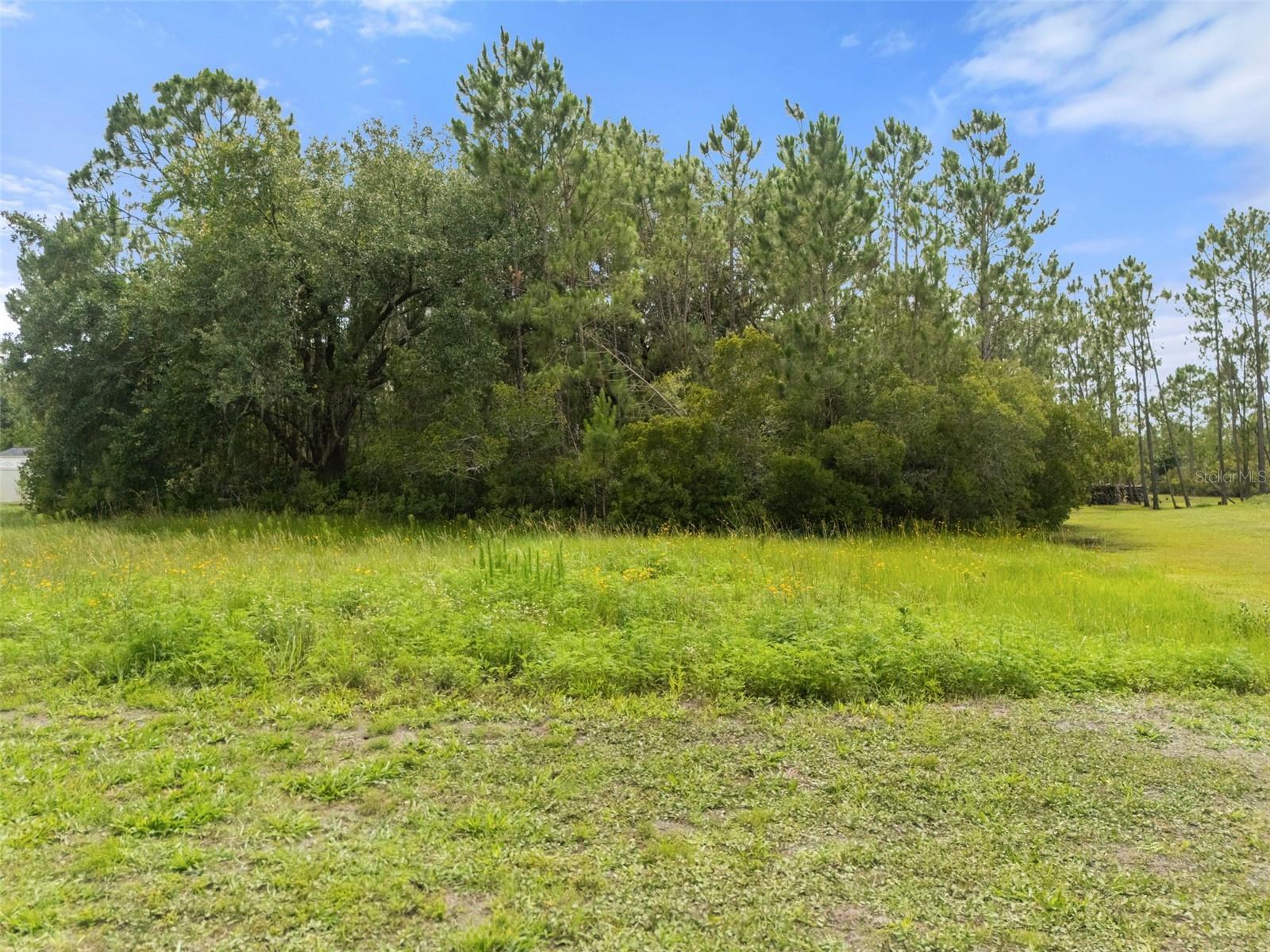 8017 WOODLEAF BLVD — photo 7