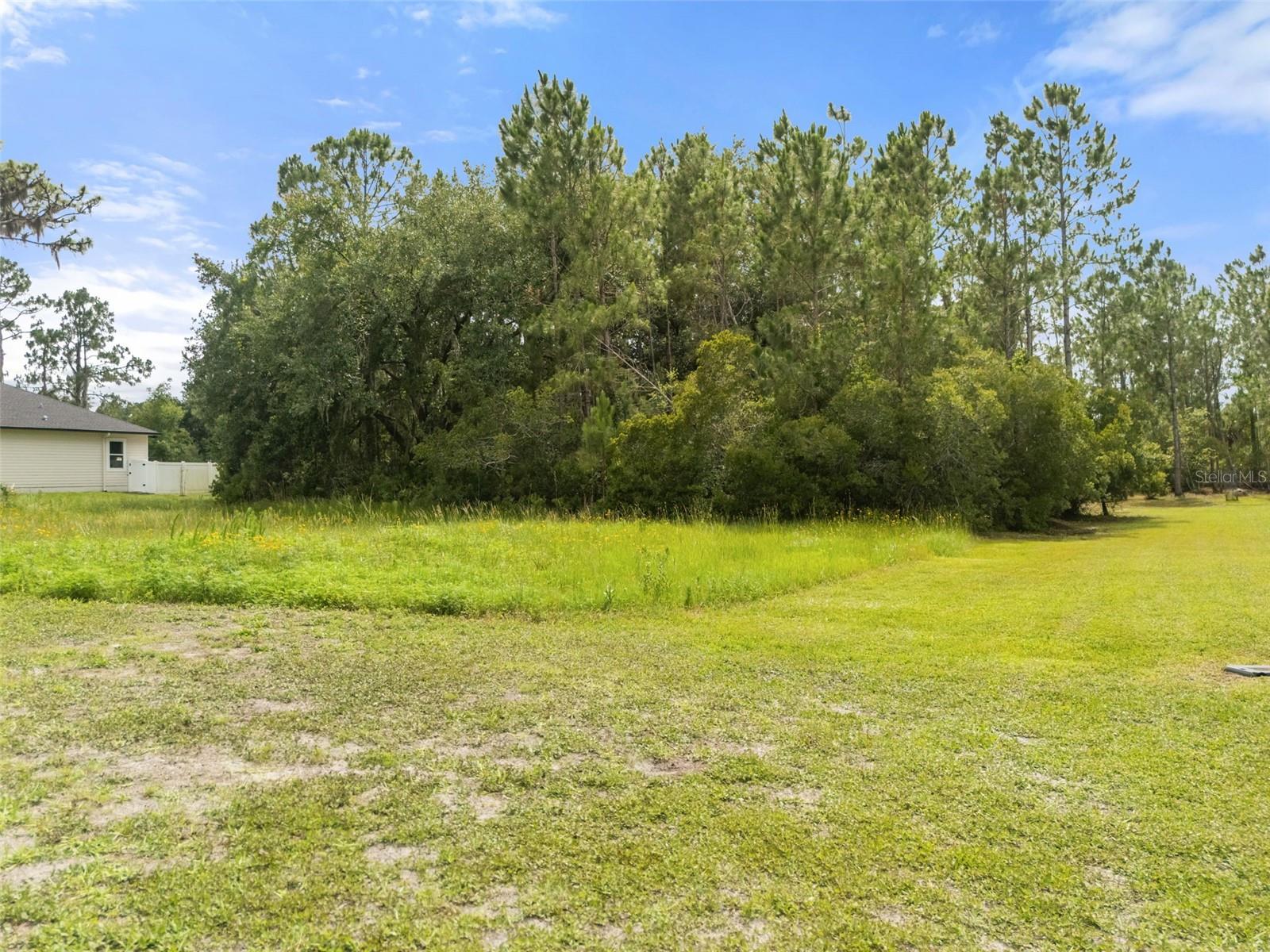 8017 WOODLEAF BLVD — photo 6