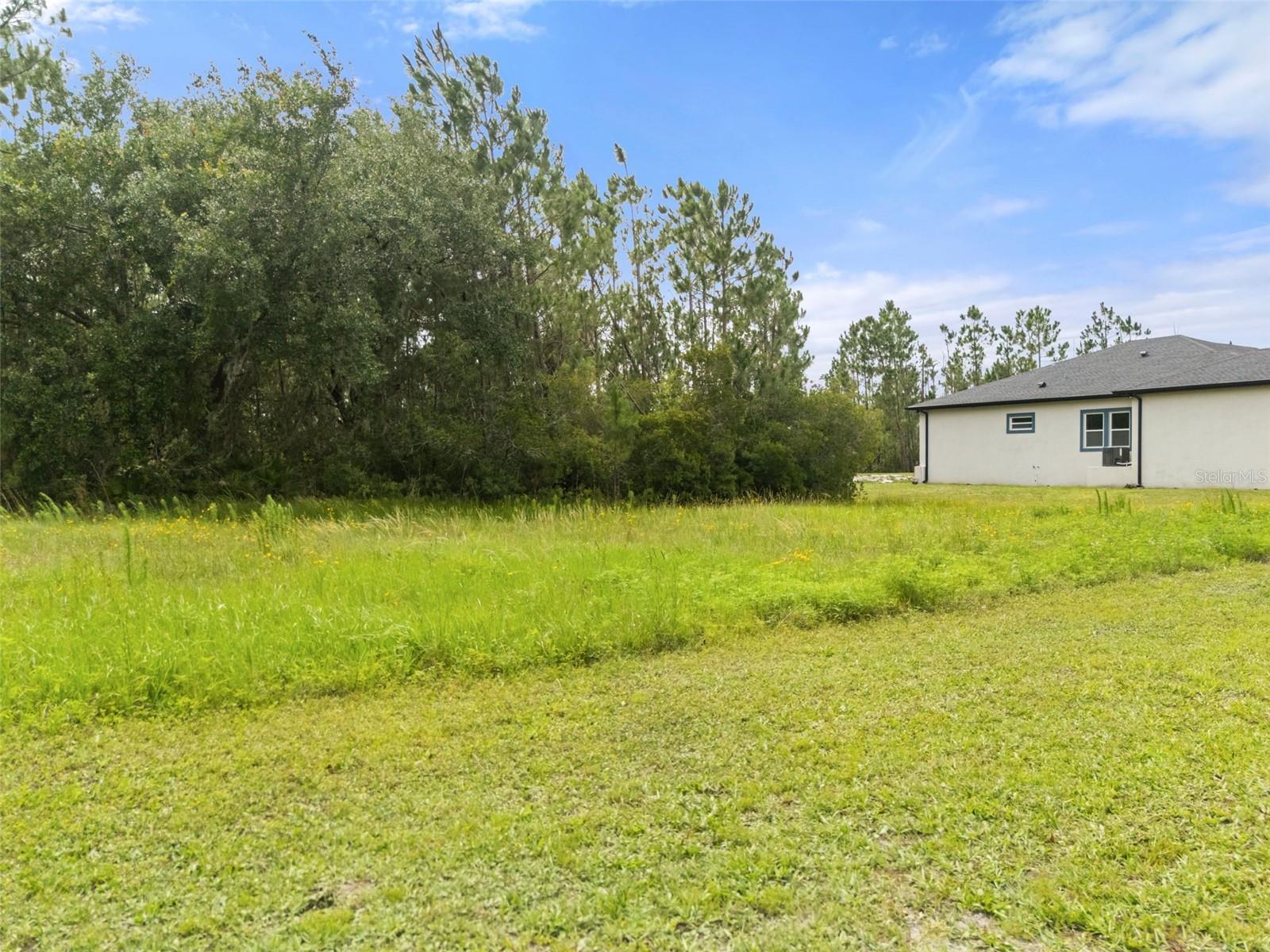8017 WOODLEAF BLVD — photo 3