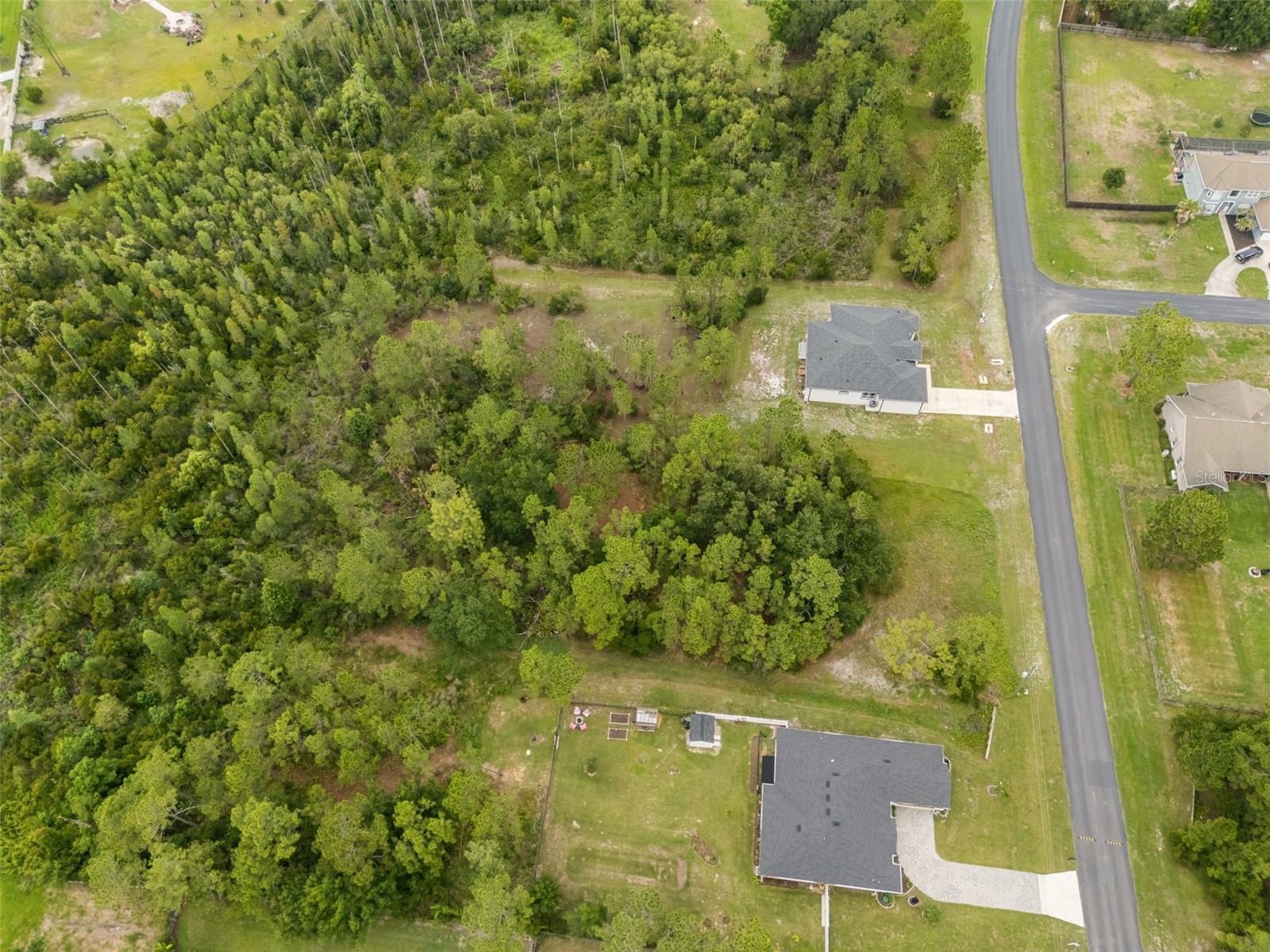 8017 WOODLEAF BLVD — photo 5