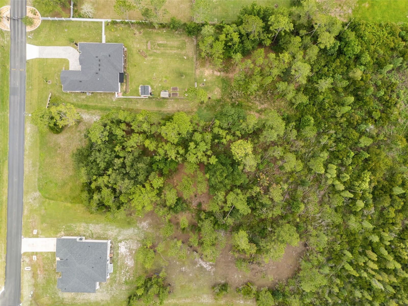 8017 WOODLEAF BLVD — photo 4