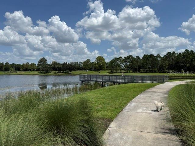 7533 LANTERN PARK AVE — photo 47