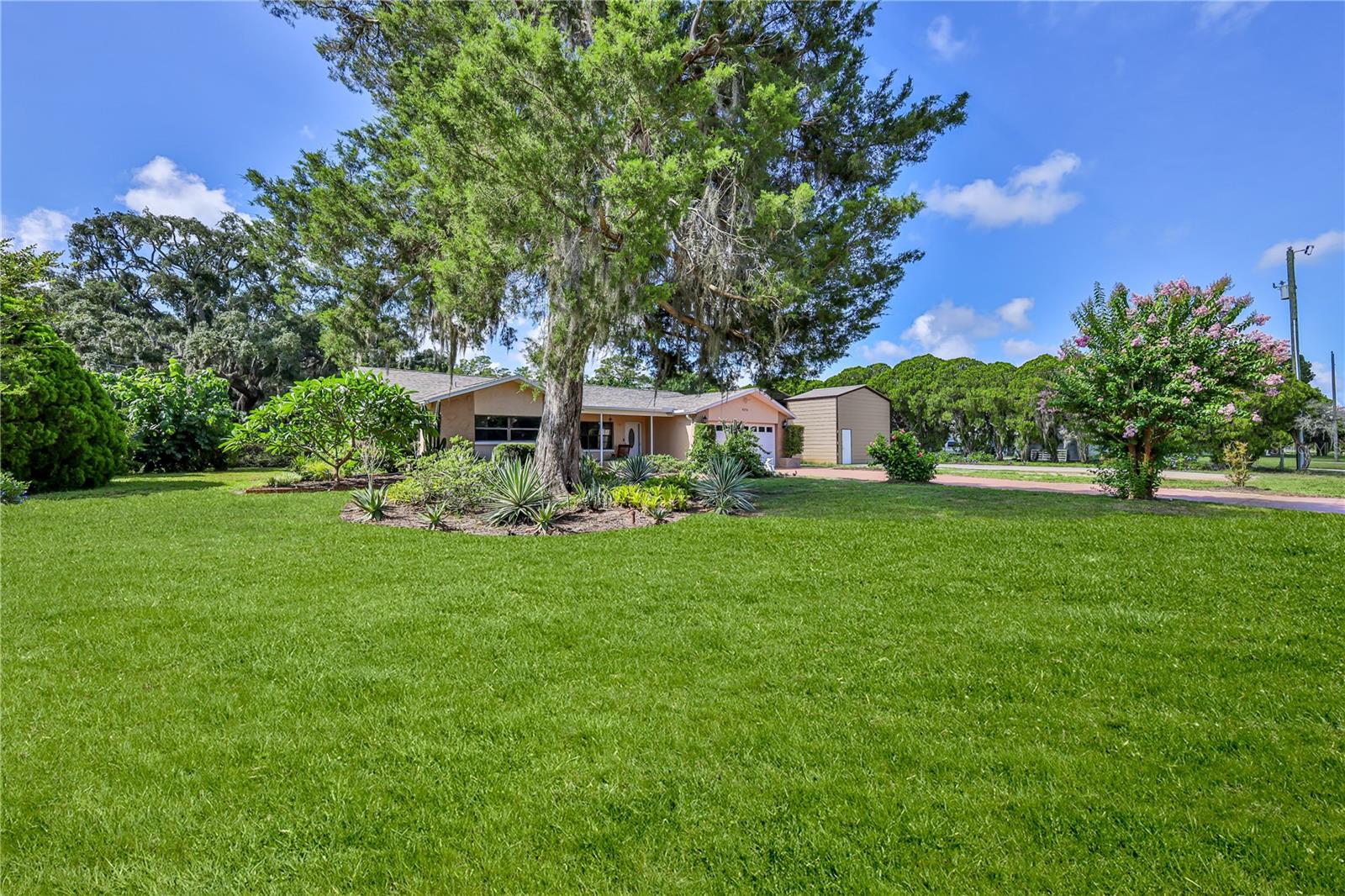 8270 SYCAMORE DR — photo 6